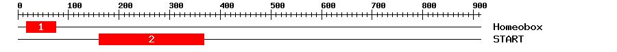 Signature Domain