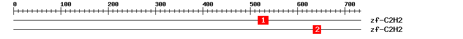 Signature Domain