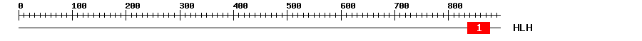 Signature Domain