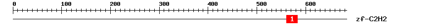 Signature Domain