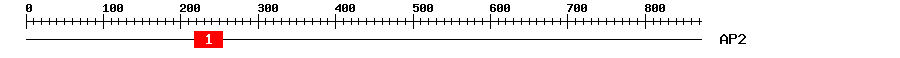 Signature Domain