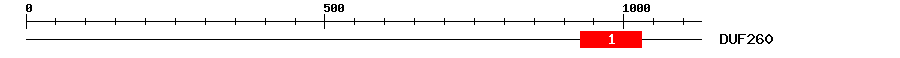 Signature Domain