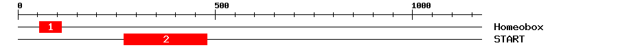 Signature Domain