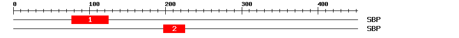 Signature Domain