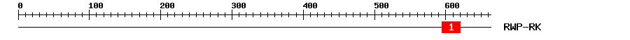 Signature Domain