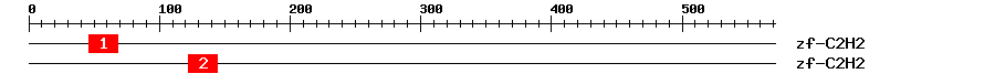 Signature Domain
