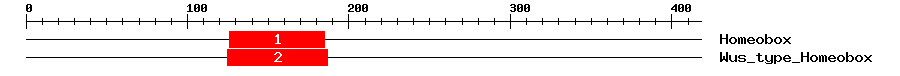 Signature Domain