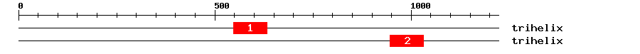 Signature Domain