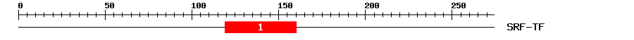 Signature Domain