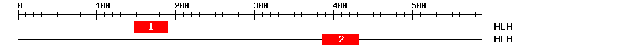 Signature Domain