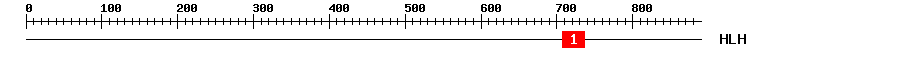 Signature Domain