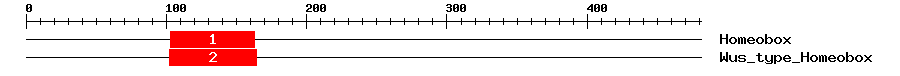 Signature Domain