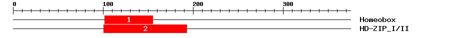 Signature Domain