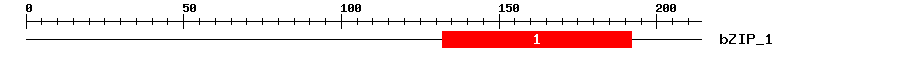 Signature Domain