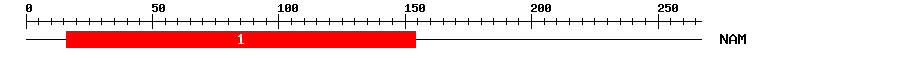 Signature Domain