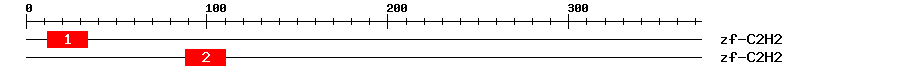 Signature Domain