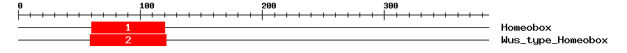 Signature Domain