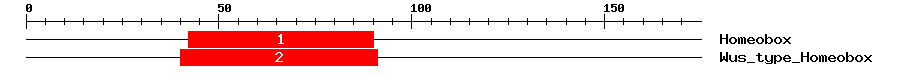 Signature Domain
