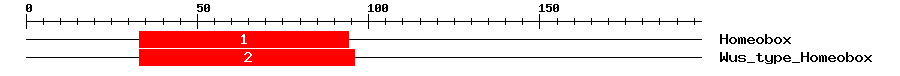 Signature Domain