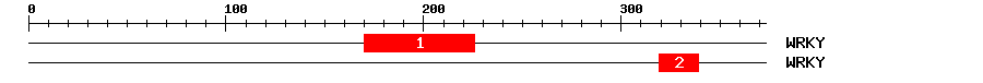 Signature Domain