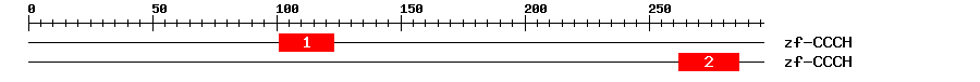 Signature Domain