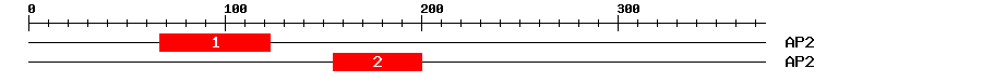 Signature Domain
