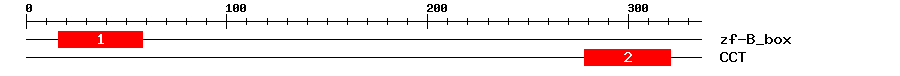 Signature Domain