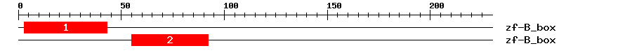 Signature Domain