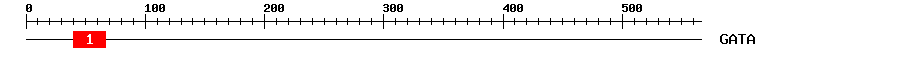 Signature Domain