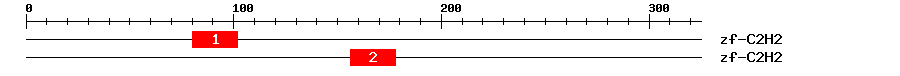 Signature Domain