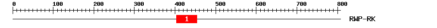 Signature Domain