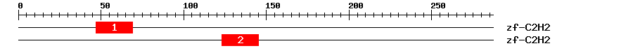 Signature Domain