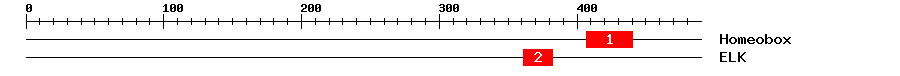 Signature Domain
