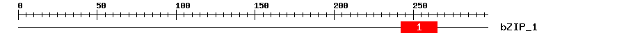 Signature Domain