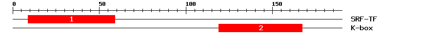 Signature Domain
