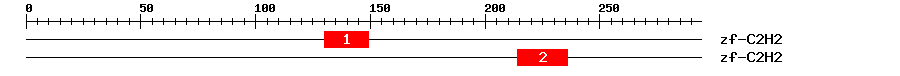 Signature Domain