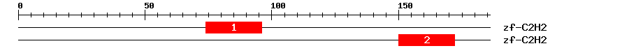 Signature Domain