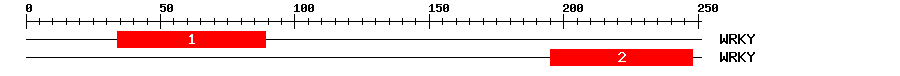 Signature Domain