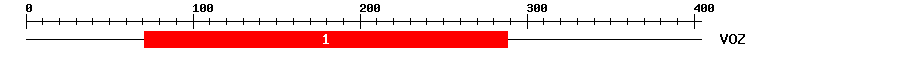 Signature Domain