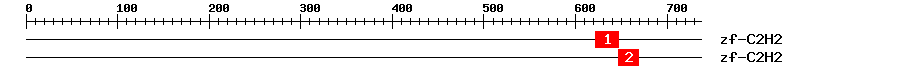 Signature Domain