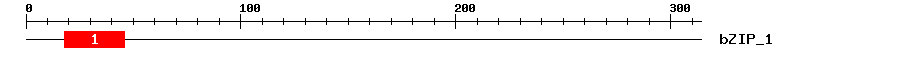Signature Domain