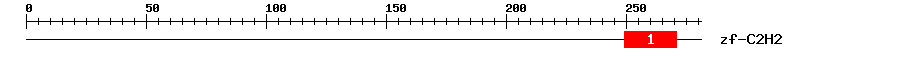 Signature Domain