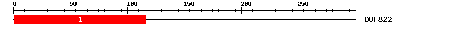 Signature Domain