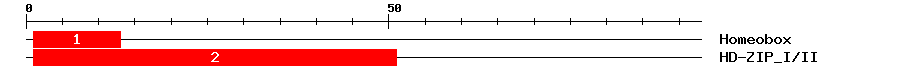 Signature Domain