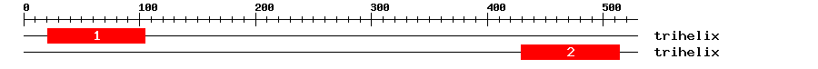 Signature Domain