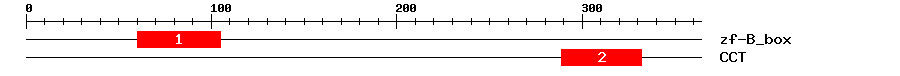 Signature Domain