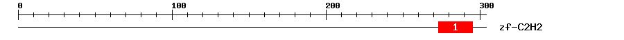 Signature Domain