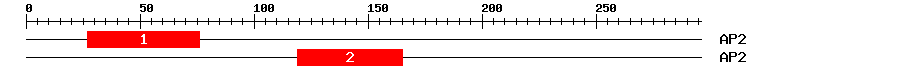 Signature Domain