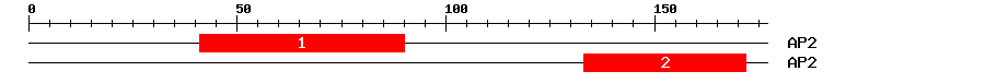Signature Domain