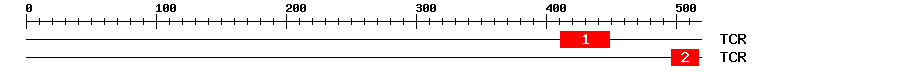 Signature Domain